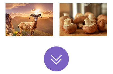 THEMIFY BUILDER INFINITE POSTS ADDON